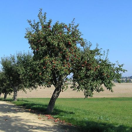 Konigshain Fewo Muehlehof מראה חיצוני תמונה